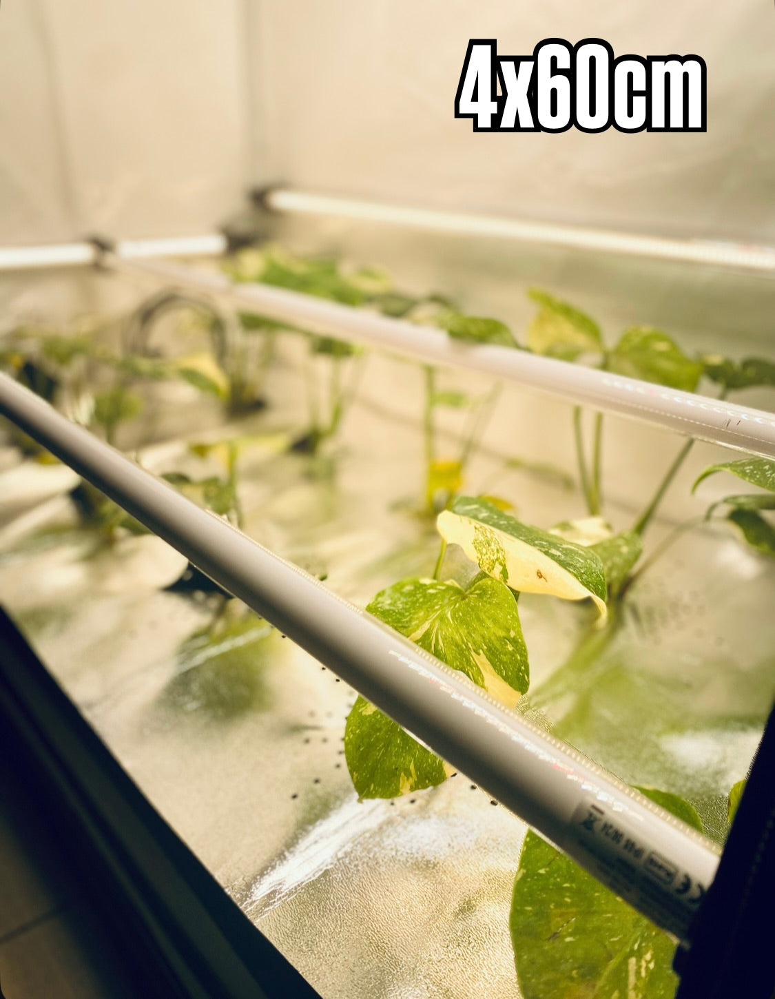 4x RFLECT TUBES LED- undercanopy & intercanopy Growlight 60cm