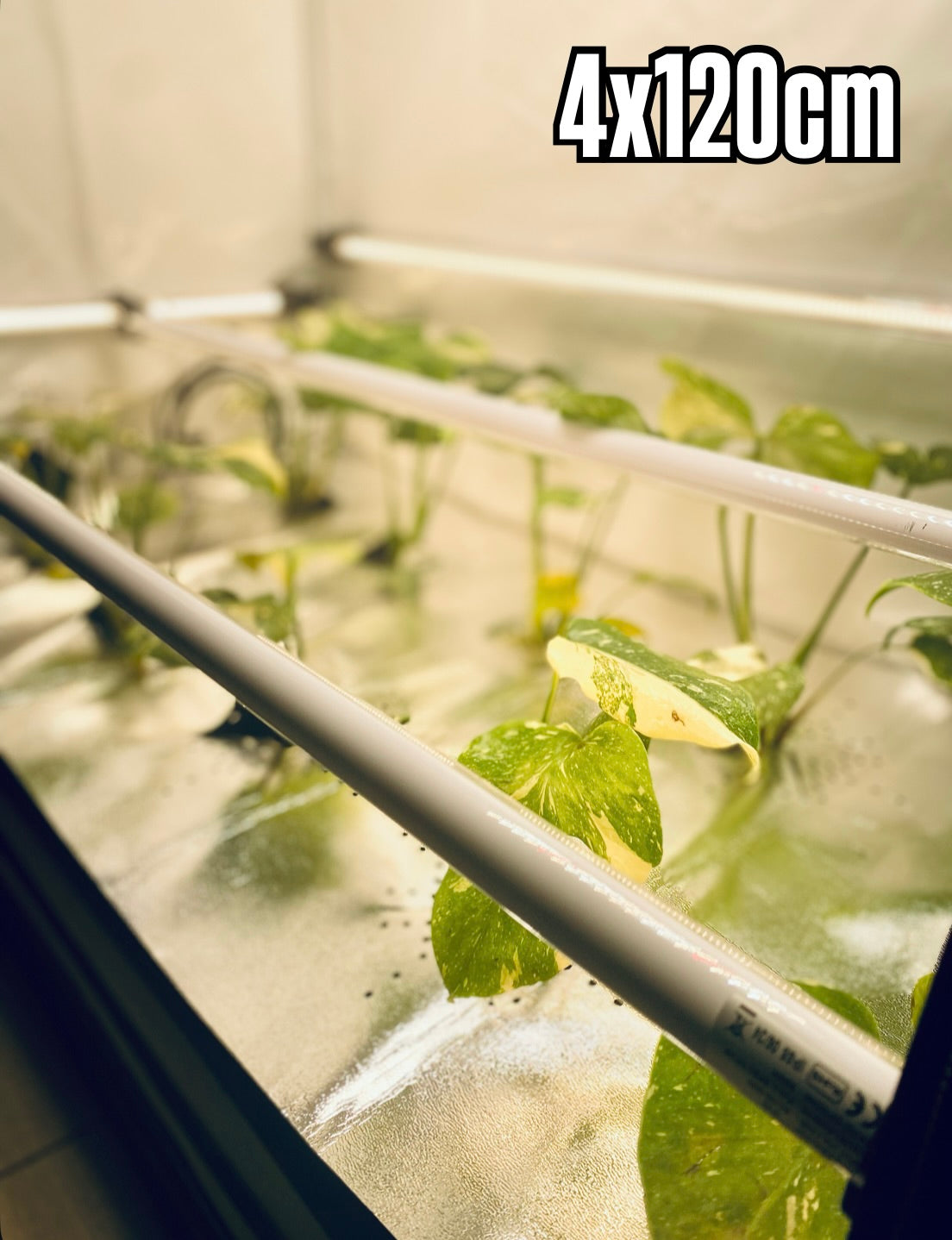 4 x RFLECT TUBES LED- undercanopy & intercanopy Growlight 120cm