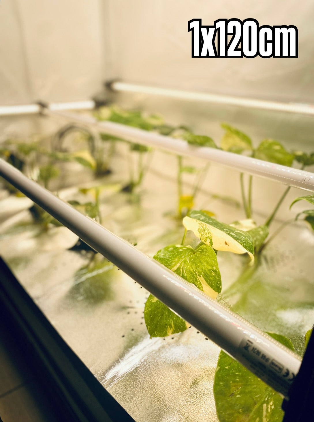 RFLECT TUBE LED undercanopy & intercanopy Grow light 120cm