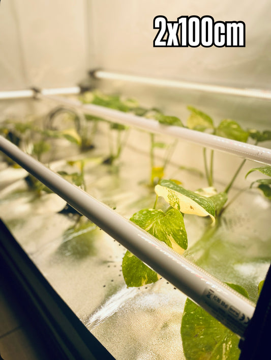 2 x RFLECT TUBES LED- undercanopy & intercanopy Growlight 100cm