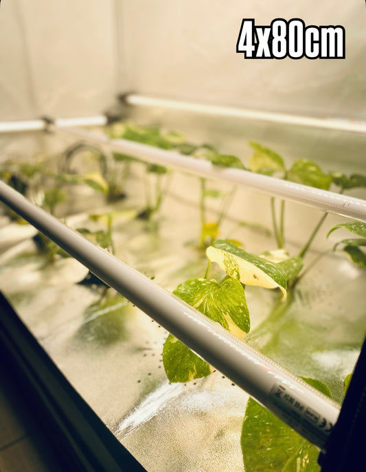 4 x RFLECT TUBES LED- undercanopy & intercanopy Growlight 80cm